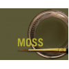 MIYO STAIN MOSS FLOUR PASTE 4G                  